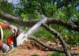 Best Lawn Grading and Leveling  in Carthage, NC
